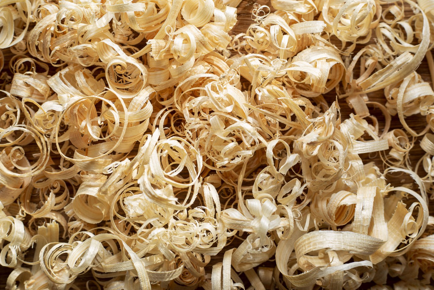trucioli di legno