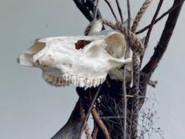 Una ricerca artistica e storica tra l’Arcimboldo e il Contemporaneo