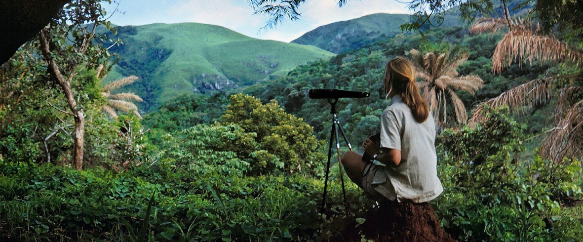 Courtesy of Vital Impacts