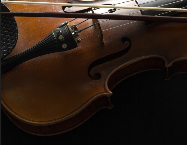 violino